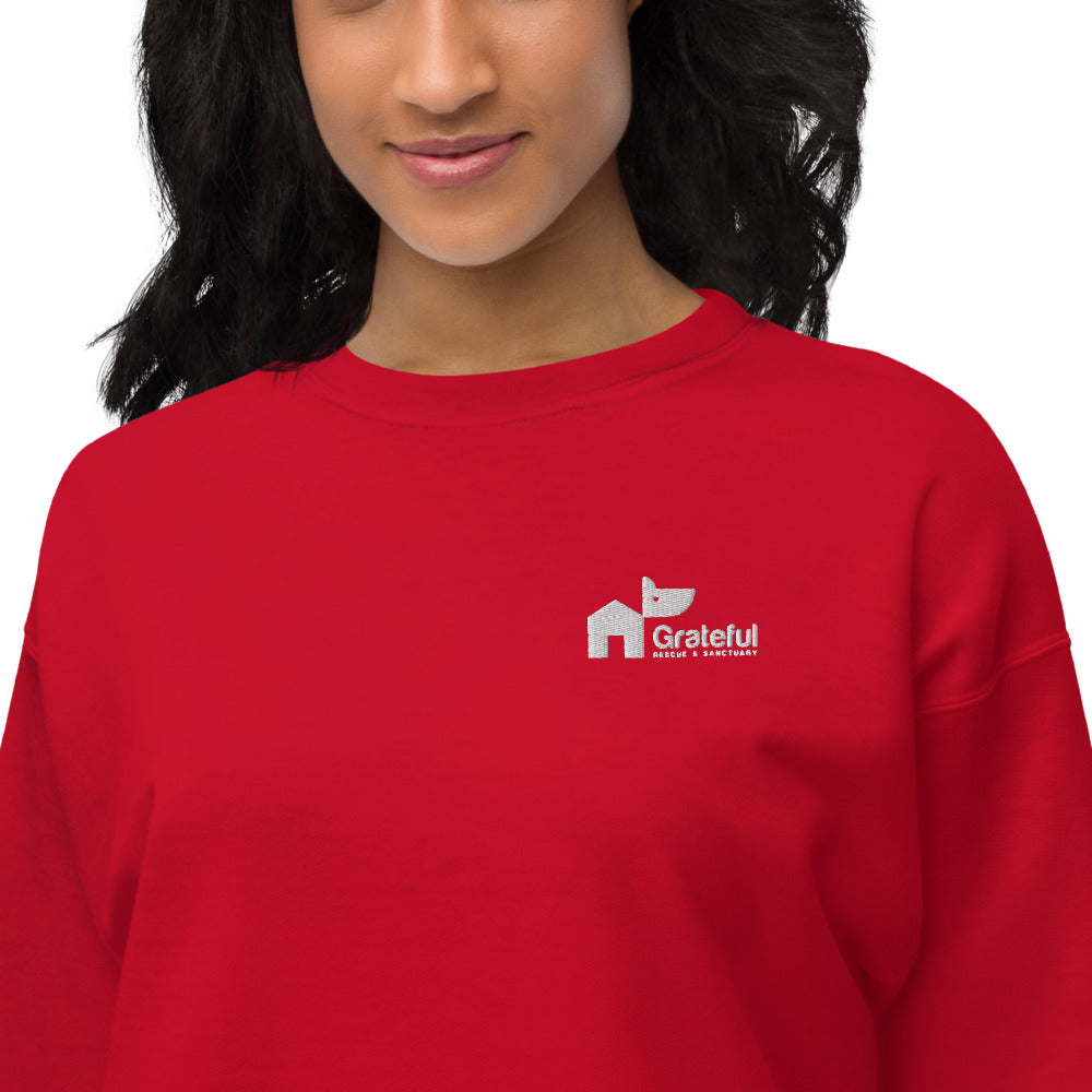 Fleece Classic Sweatshirt by Hanes - 5 Color Options