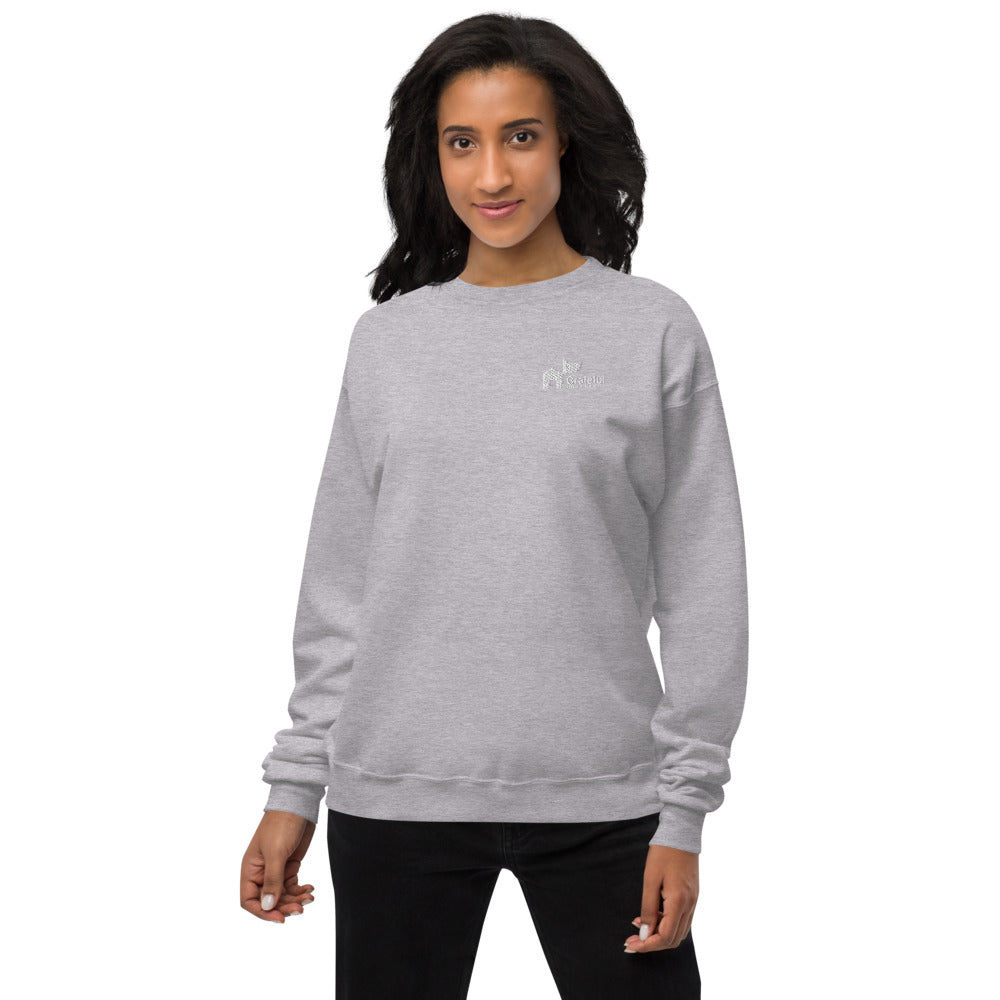 Fleece Classic Sweatshirt by Hanes - 5 Color Options