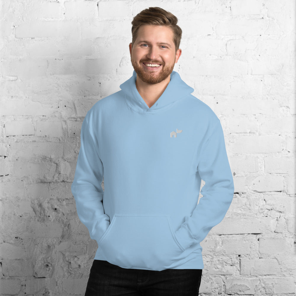 Heavy Blend Hoodie by Gildan - 6 Colors